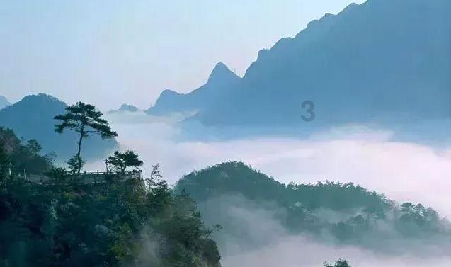 燃烧吧大脑免广告最新版